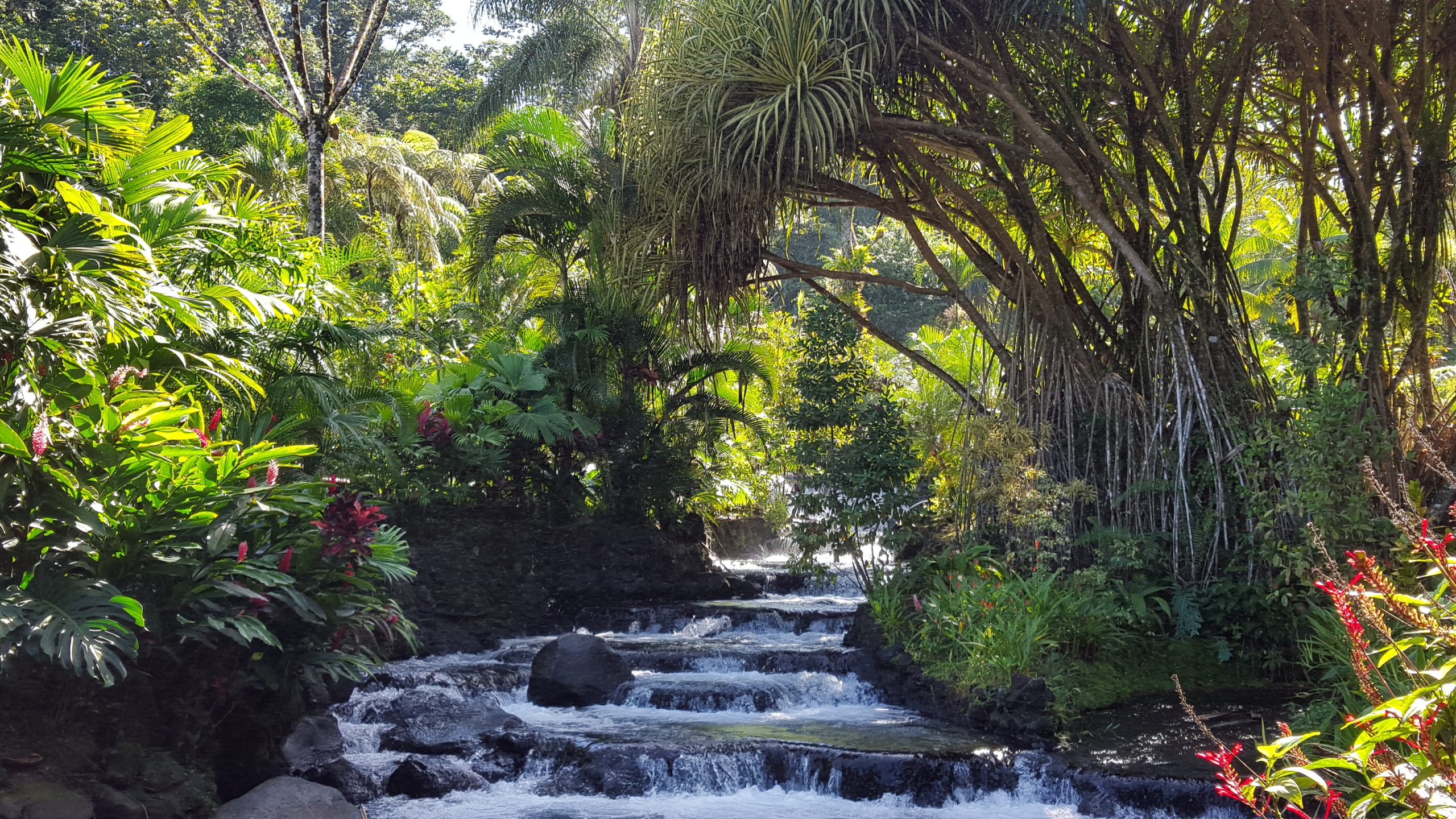 Exclusive Costa Rica Tour